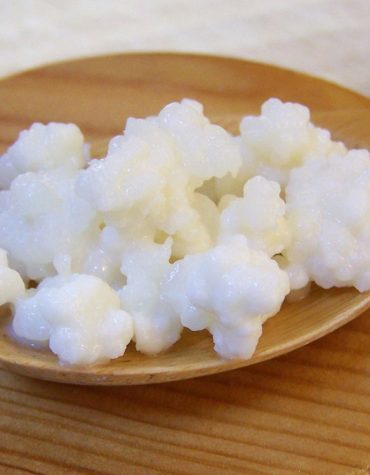 Mllk Kefir Grains (10 days) withinnTamilnadu