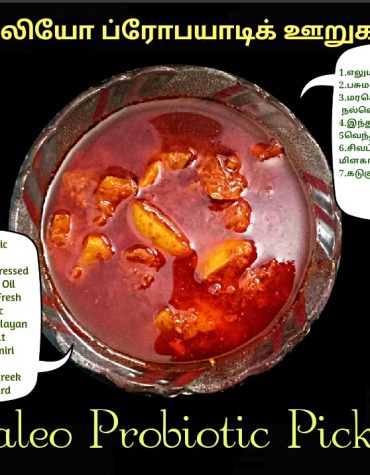 Pro-Biotic Lime pickle 250g
